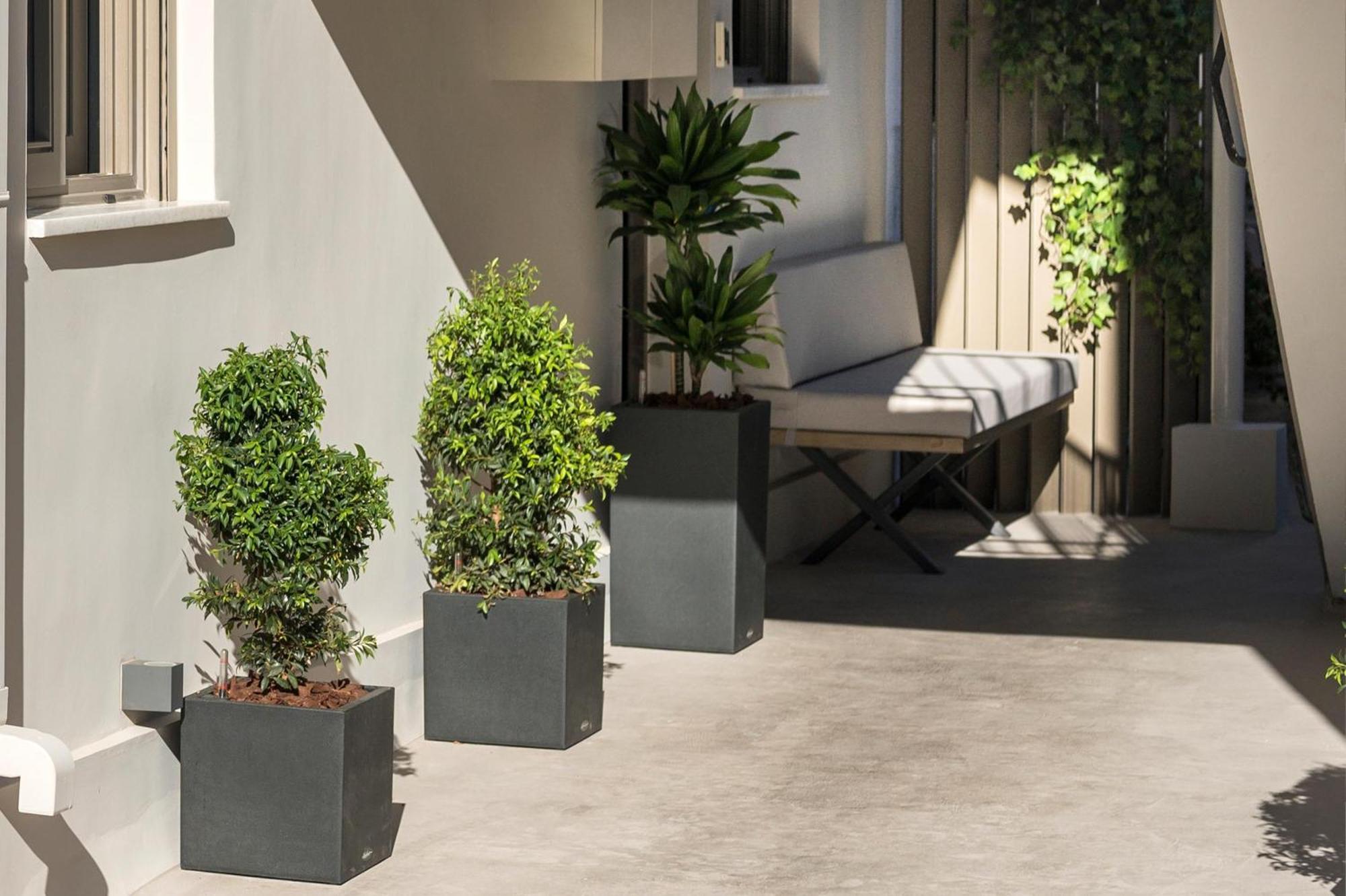 Π Suite Project: Smart Bnb Chania  Bagian luar foto